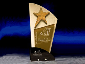 Prince15 Acrylic Award