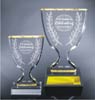 Trophy Cup Award (Small)