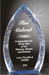 Oval Acrylic Award Pointed Top (Large)