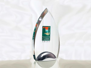 Sabre Acrylic Award